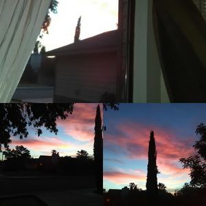 Meet your Posher, Nekold